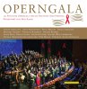 19.Operngala Für Die Aids-Stiftung - Bild 1