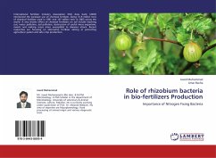 Role of rhizobium bacteria in bio-fertilizers Production