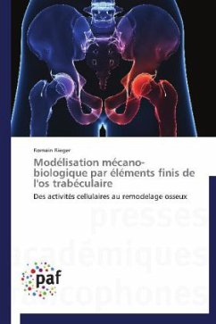 Modélisation mécano-biologique par éléments finis de l'os trabéculaire - Rieger, Romain