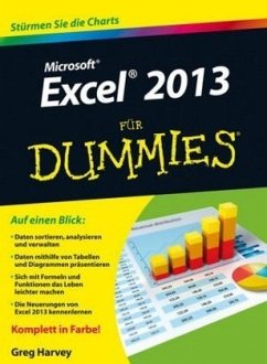 Cover Microsoft Excel 2013 für Dummies