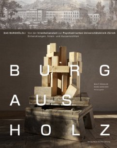 Cover Burg aus Holz - das Burghölzli