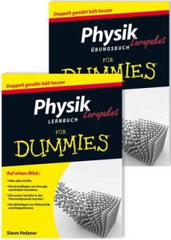 Lernpaket Physik für Dummies, 2 Bde. - Holzner, Steve