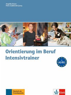Orientierung im Beruf - Intensivtrainer mit Audio-CD - Braun, Angelika; Szablewski-Cavus, Petra
