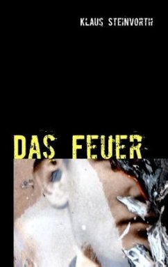 Das Feuer - Steinvorth, Klaus