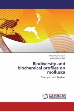 Biodiversity and biochemical profiles on mollusca