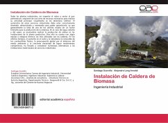 Instalación de Caldera de Biomasa - Scarafía, Santiago;Long Arnaldi, Alejandro
