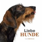 Liebe Hunde