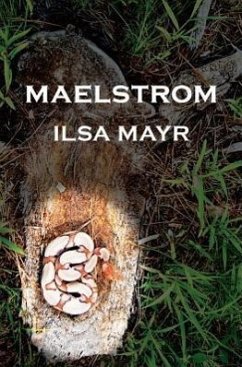 Maelstrom - Mayr, Ilsa