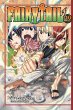 Fairy Tail, Volume 29 Hiro Mashima Author