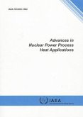 Advances in Nuclear Power Process Heat Applications: IAEA Tecdoc Series No. 1682