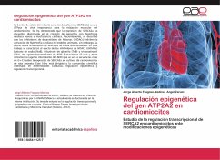 Regulación epigenética del gen ATP2A2 en cardiomiocitos - Fragoso-Medina, Jorge Alberto;Zarain, Ángel