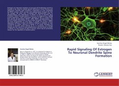 Rapid Signaling Of Estrogen To Neuronal Dendrite Spine Formation