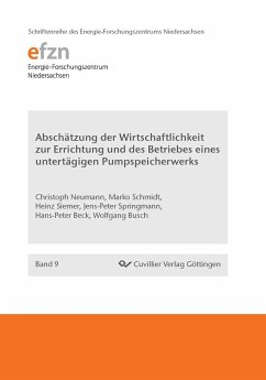 Abschätzung der Wirtschaftlichkeit zur Errichtung und des Betriebes eines untertägigen Pumpspeicherwerks - Busch, Wolfgang