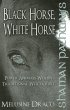 Shaman Pathways - Black Horse, White... - Bild 1