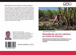 Raquitismo de los retoños en caña de Azúcar - Montalván Delgado, Joaquín