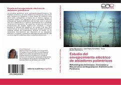 Estudio del envejecimiento eléctrico de aisladores poliméricos - Manassero, Ulises;Fernández, Juan Pedro;Steinmann, Irene Beatríz