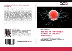 Estudio de la fisiología ovárica en conejas primíparas - Arias Alvarez, María