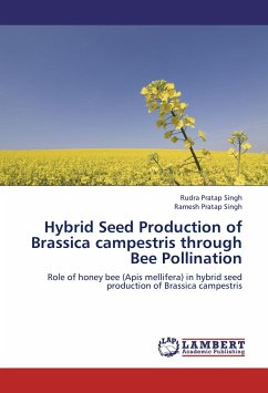 Hybrid Seed Production of Brassica campestris through Bee Pollination