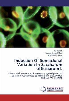 Induction Of Somaclonal Variation In Saccharum officinarum L