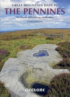 Great Mountain Days in the Pennines - Marsh, Terry