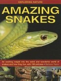 Exploring Nature: Amazing Snakes: An Exciting Insight Into the Weird and Wonderful World of Snakes and How They Live, with 190 Pictures