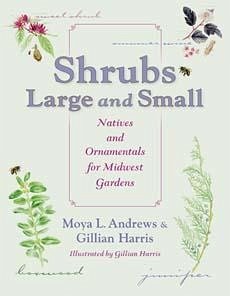 Shrubs Large and Small - Andrews, Moya L