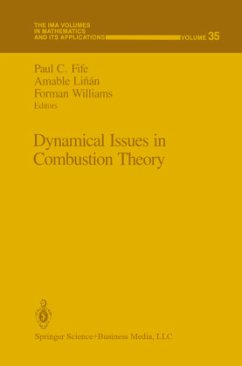 Dynamical Issues in Combustion Theory