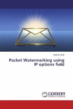 Packet Watermarking using IP options field