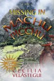 Missing in Machu Picchu