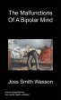The Malfunctions of a Bipolar Mind - Bild 1