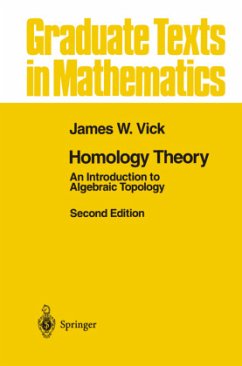 Homology Theory - Vick, James W.