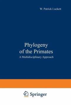 Phylogeny of the Primates