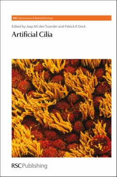 Artificial Cilia