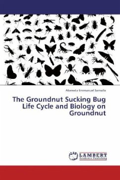 The Groundnut Sucking Bug Life Cycle and Biology on Groundnut