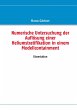 Numerische Untersuchung der Auflösung... - Bild 1