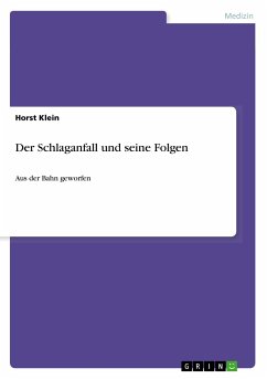 Der Schlaganfall und seine Folgen - Klein, Horst