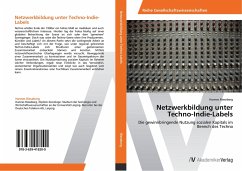 Netzwerkbildung unter Techno-Indie-Labels - Rieseberg, Hannes
