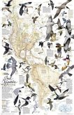 National Geographic Bird Migration, Western Hemisphere Wall Map (20.25 X 31.25 In)