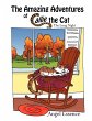 The Amazing Adventures of Callie the Cat - Bild 1