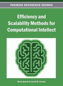 Efficiency and Scalability Methods for Computational Intellect