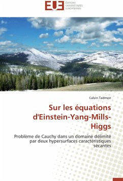Sur les équations d'Einstein-Yang-Mills-Higgs - Tadmon, Calvin