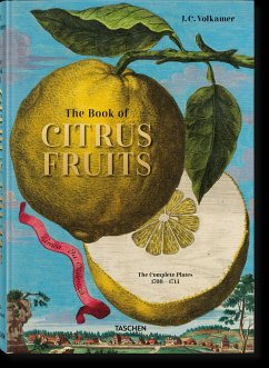 J. C. Volkamer. The Book of Citrus Fruits - Lauterbach, Iris;Volkamer, Johann Chr.
