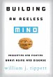 Building an Ageless Mind - Bild 1