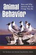 Animal Behavior - Bild 1