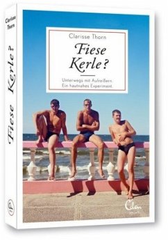 Cover Fiese Kerle?