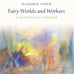 Cover Fairy Worlds and Workers