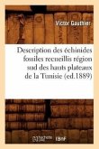 Description Des Échinides Fossiles Recueillis Région Sud Des Hauts Plateaux de la Tunisie (Ed.1889)
