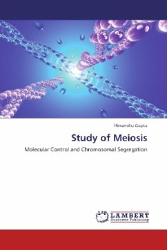 Study of Meiosis