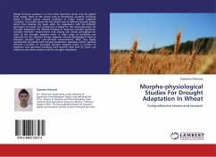 Morpho-physiological Studies For Drought Adaptation In Wheat