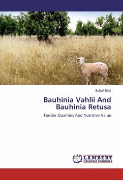 Cover Bauhinia Vahlii And Bauhinia Retusa